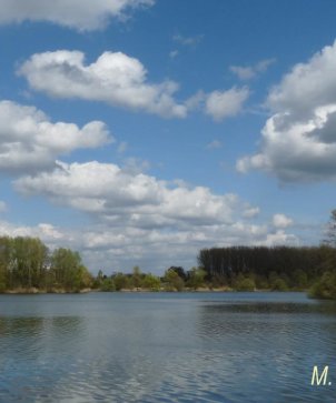 Blick auf den Erlensee