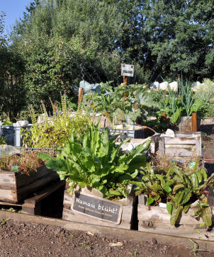 Mobiler Garten Umweltzentrum