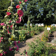 Uwz Gartenansicht Sommer