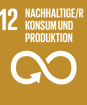 Sdg-icon-de-12